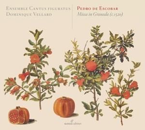 Produktbild: Pedro de Escobar/Missa In Granada