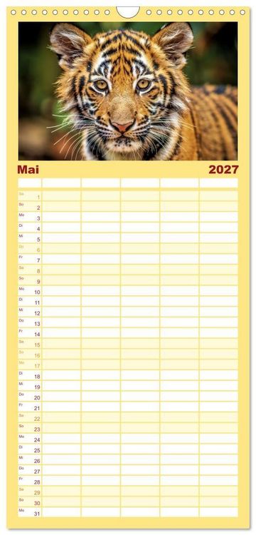 Produktbild: Familienplaner 2027 - Babys der Wildnis mit 5 Spalten (Wandkalender, 21 x 45 cm) CALVENDO