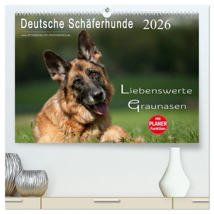Produktbild: Deutsche Sch&auml;ferhunde - Liebenswerte Graunasen (hochwertiger Premium Wandkalender 2026 DIN A2 quer), Kunstdruck in Hochglanz