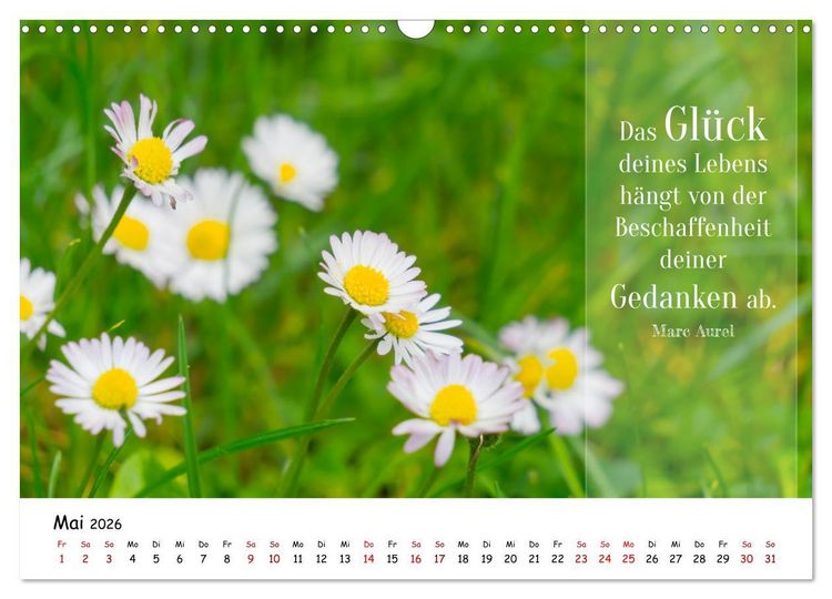 Produktbild: Lebensweisheiten, motivierende Spr&uuml;che und kluge Zitate mit Bildern der Natur (Wandkalender 2026 DIN A3 quer), CALVENDO Monatskalender