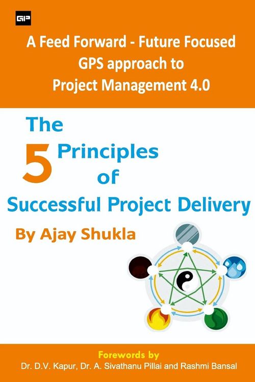 Produktbild: The 5 Principles of Successful Project Delivery