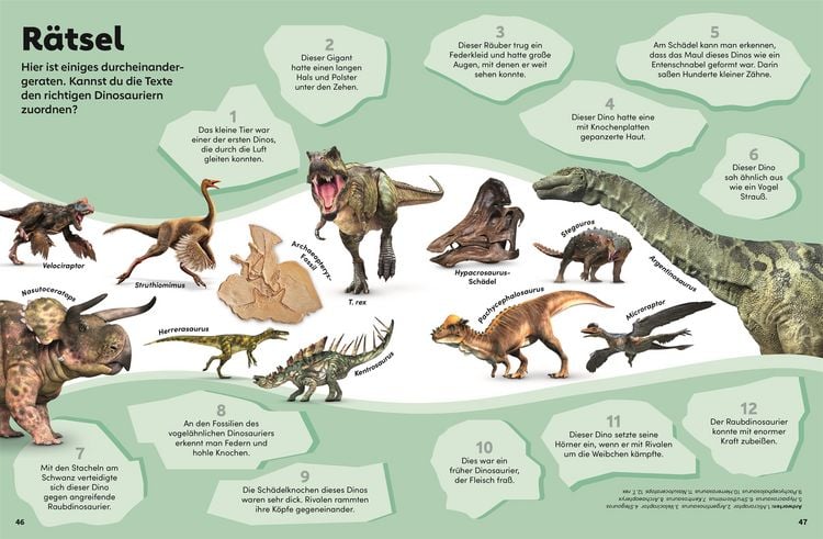 Produktbild: memo Wissen Kids. Dinosaurier