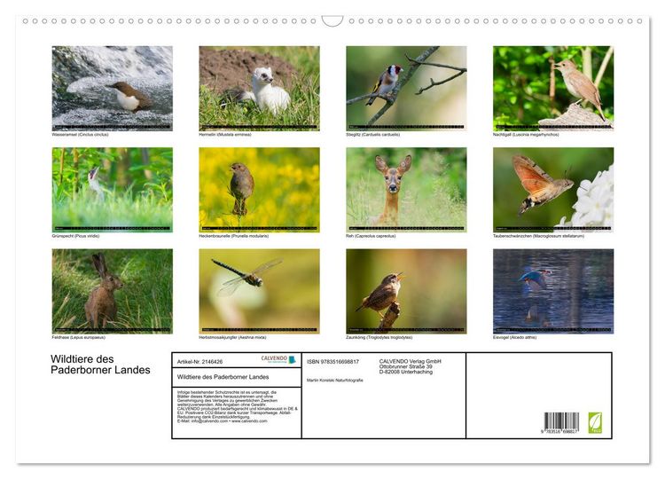 Produktbild: Wildtiere des Paderborner Landes (Wandkalender 2026 DIN A2 quer), CALVENDO Monatskalender