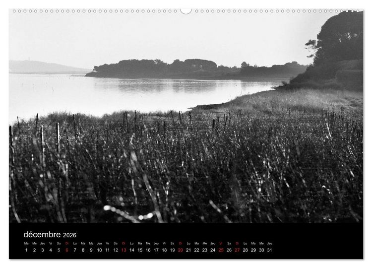 Produktbild: VIGNES DU SUD terroirs d'AOC (Calendrier mural 2026 DIN A2 vertical) calendrier de bureau