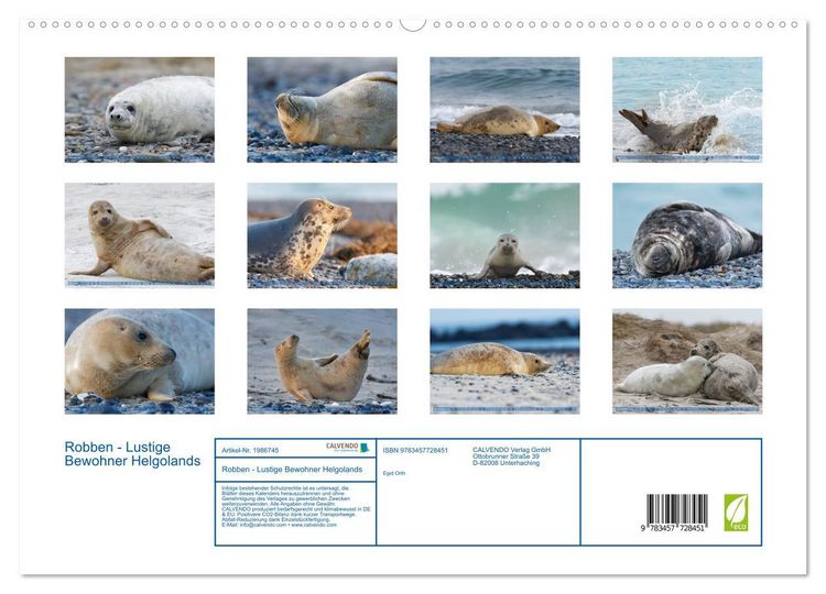Produktbild: Robben - Lustige Bewohner Helgolands (hochwertiger Premium Wandkalender 2026 DIN A2 quer), Kunstdruck in Hochglanz
