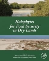 Produktbild: Khan, M: Halophytes for Food Security in Dry Lands
