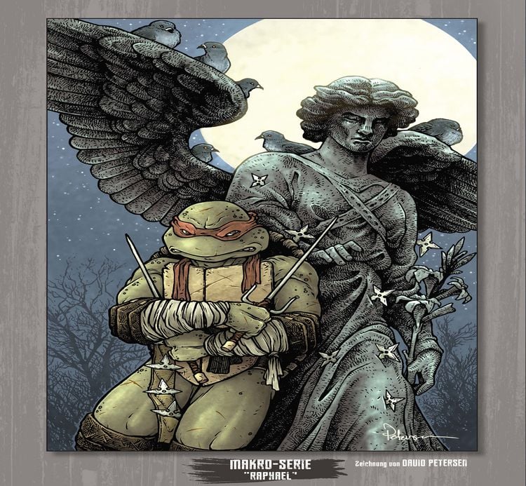 Produktbild: Teenage Mutant Ninja Turtles Splitter Collection 13