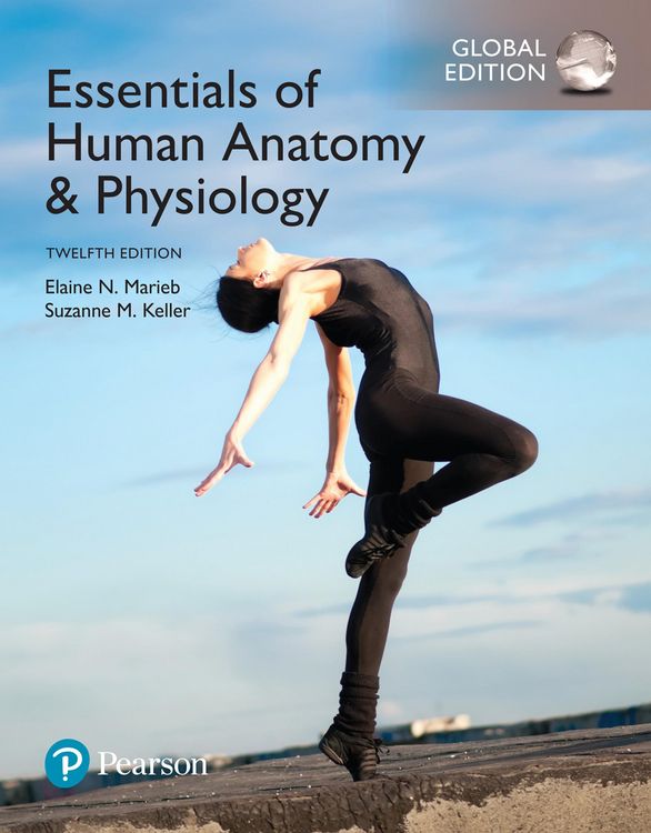 Produktbild: Essentials of Human Anatomy & Physiology, Global Edition