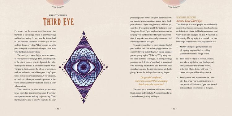 Produktbild: Maia Toll's Wild Wisdom Companion