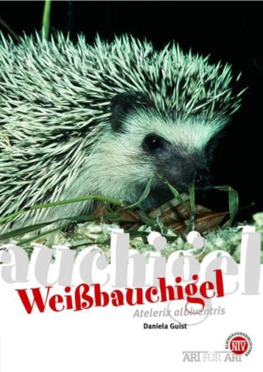 Produktbild: Weißbauchigel