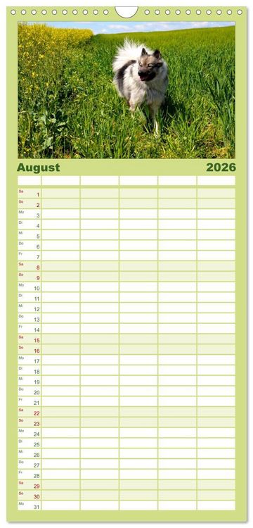 Produktbild: Familienplaner 2026 - Der Wolfsspitz mit 5 Spalten (Wandkalender, 21 x 45 cm) CALVENDO