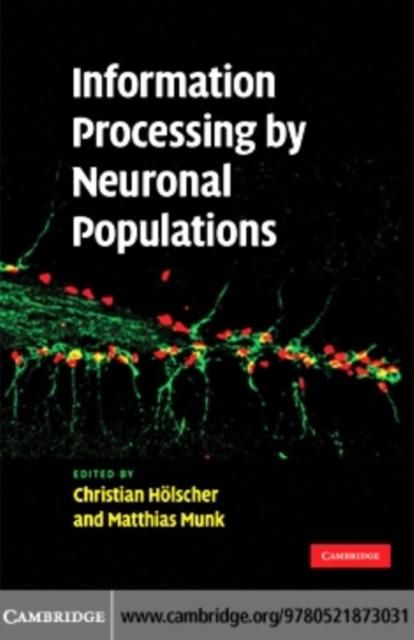 Produktbild: Information Processing by Neuronal Populations