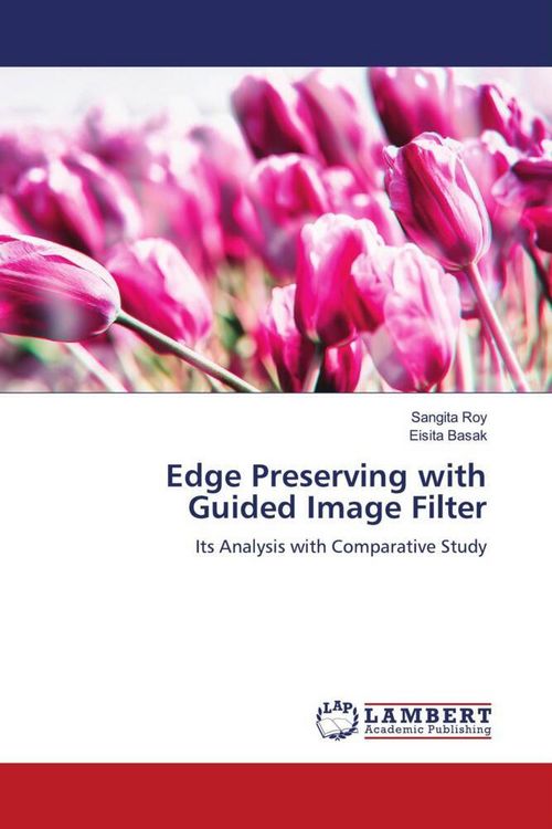 Produktbild: Edge Preserving with Guided Image Filter