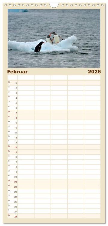Produktbild: Familienplaner 2026 - Im Reich der Pinguine mit 5 Spalten (Wandkalender, 21 x 45 cm) CALVENDO