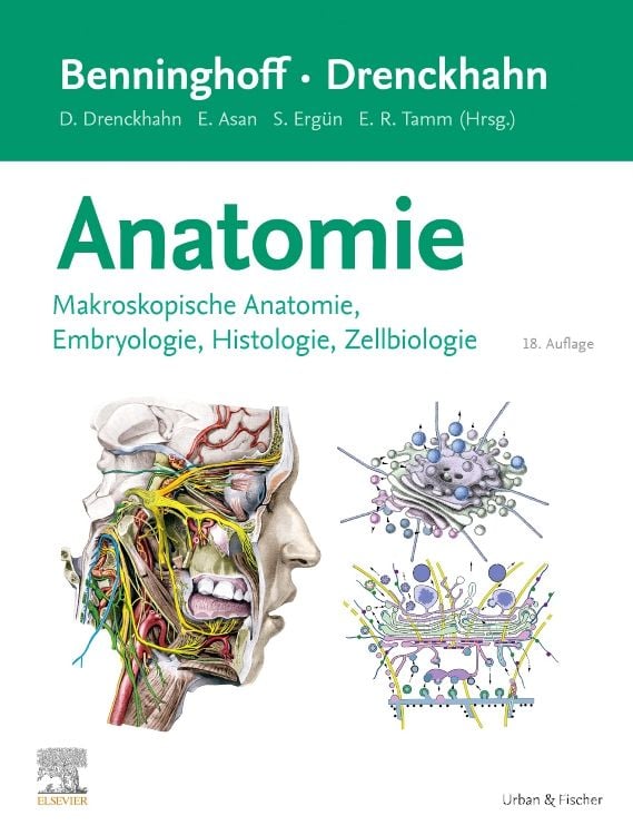 Produktbild: Benninghoff/Drenckhahn, Anatomie