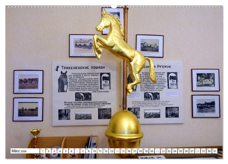 Produktbild: Mythos Trakehnen - Paradies ohne Pferde (Wandkalender 2026 DIN A2 quer), CALVENDO Monatskalender