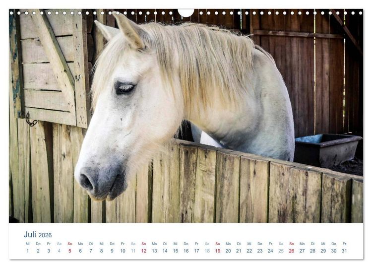 Produktbild: Tierisches Leben auf dem Bauernhof 2026 (Wandkalender 2026 DIN A3 quer), CALVENDO Monatskalender