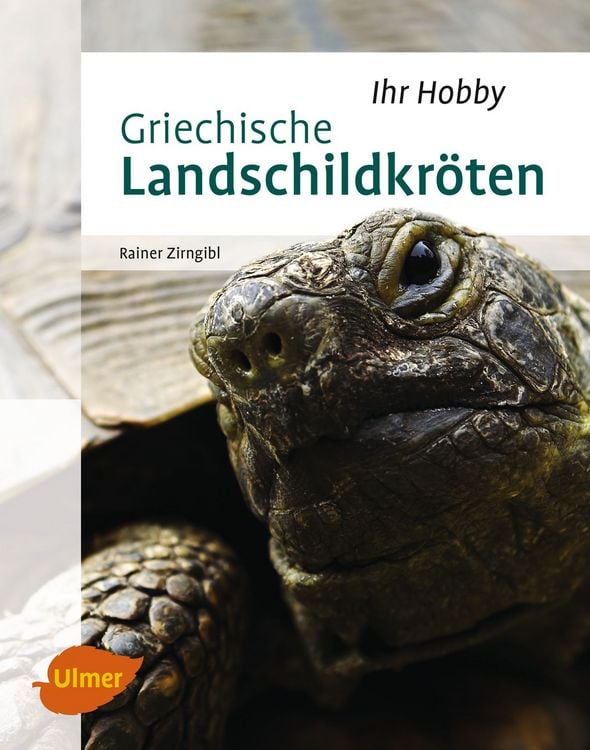 Produktbild: Griechische Landschildkr&ouml;ten