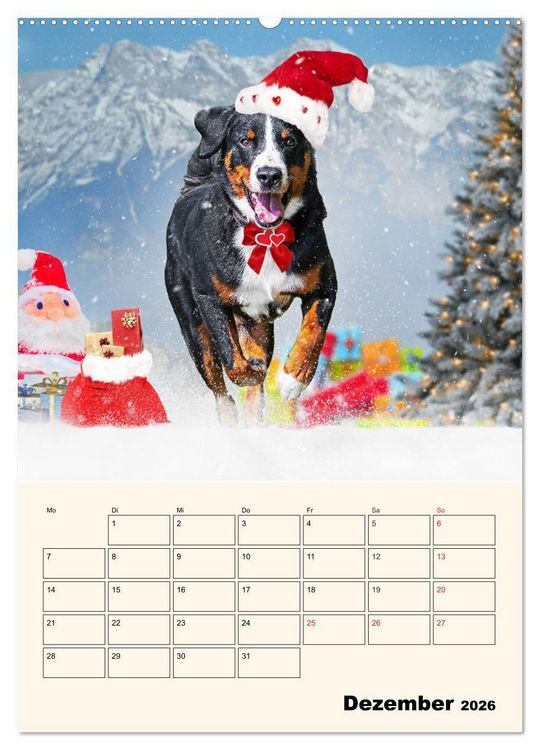 Produktbild: Appenzeller Sennenhund - Mit Plan durch das Jahr (hochwertiger Premium Wandkalender 2026 DIN A2 hoch), Kunstdruck in Hochglanz