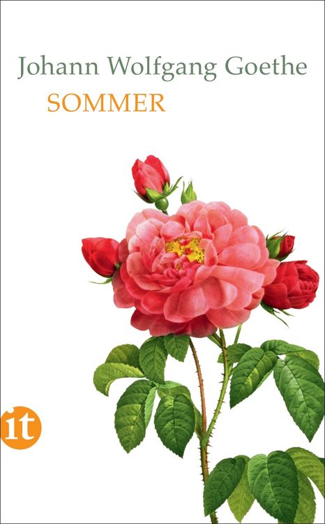 Produktbild: Sommer