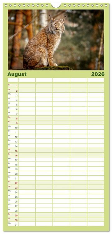 Produktbild: Familienplaner 2026 - Der Luchs - Begegnungen mit einer Raubkatze mit 5 Spalten (Wandkalender, 21 x 45 cm) CALVENDO