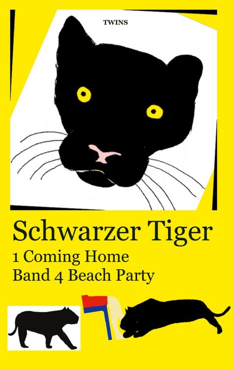 Produktbild: Schwarzer Tiger 1 Coming Home