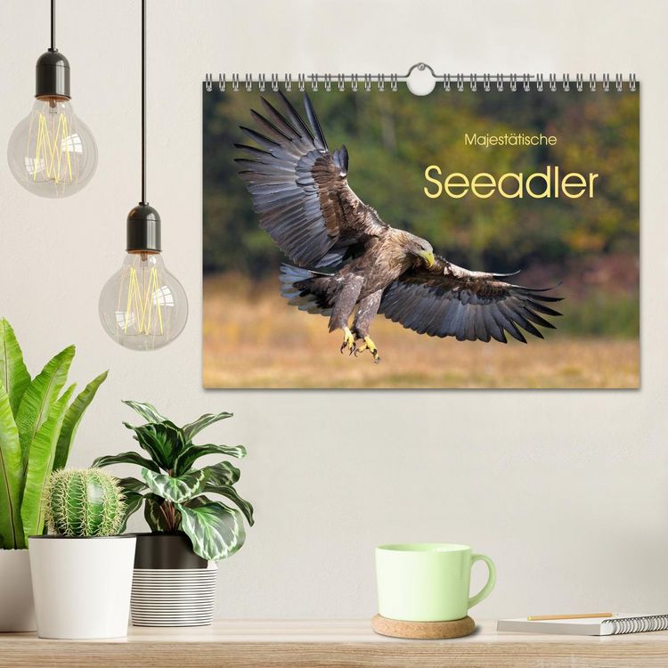 Produktbild: Majest&auml;tische Seeadler (Wandkalender 2026 DIN A4 quer), CALVENDO Monatskalender