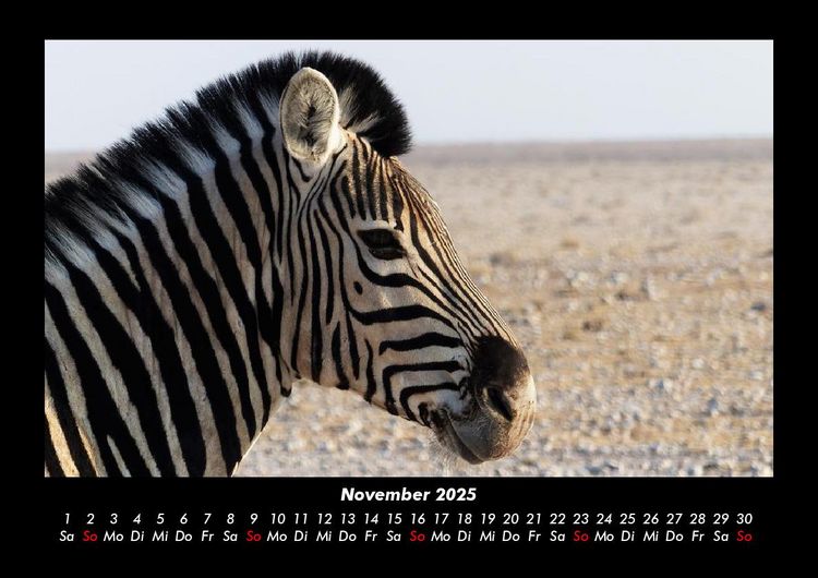 Produktbild: Zebrazauber 2025 Fotokalender DIN A3