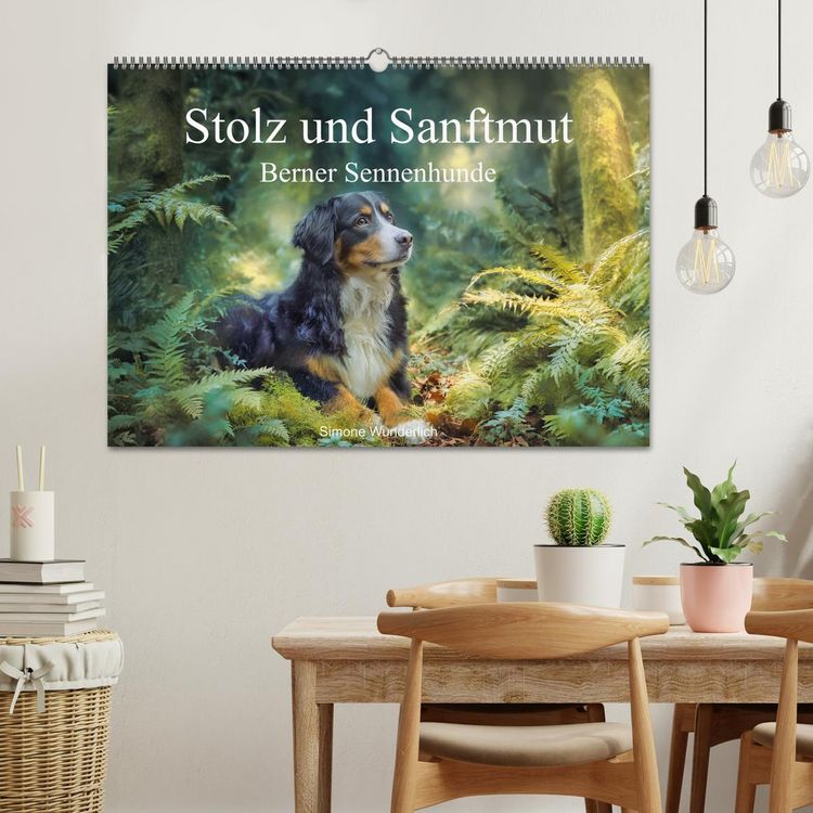 Produktbild: Stolz und Sanftmut - Berner Sennenhunde (Wandkalender 2027 DIN A2 quer), CALVENDO Monatskalender