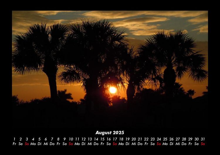 Produktbild: B&auml;ume 2025 Fotokalender DIN A3