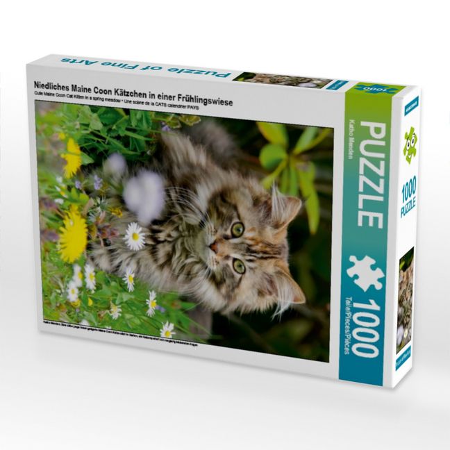 Produktbild: CALVENDO Puzzle Niedliches Maine Coon K&auml;tzchen in einer Fr&uuml;hlingswiese | 1000 Teile Lege-Gr&ouml;&szlig;e 64x48cm Foto-Puzzle f&uuml;r gl&uuml;ckliche Stunden