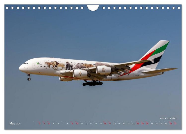 Produktbild: Airliners of the Middle East (Wall Calendar 2026 DIN A4 landscape), CALVENDO 12 Month Wall Calendar