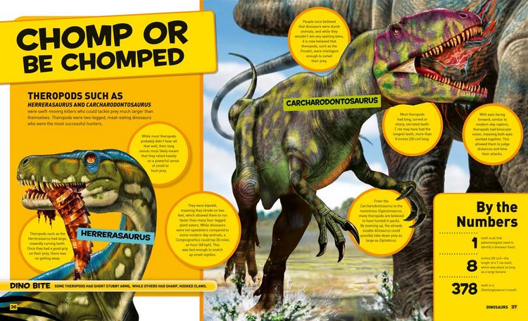 Produktbild: Everything Dinosaurs
