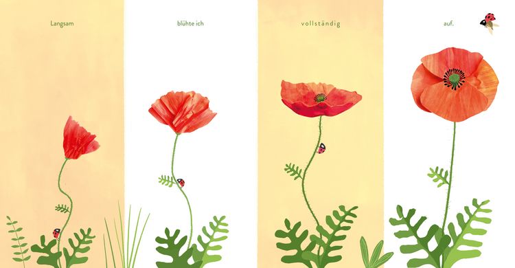 Produktbild: Kleine Blume, gro&szlig;e Welt