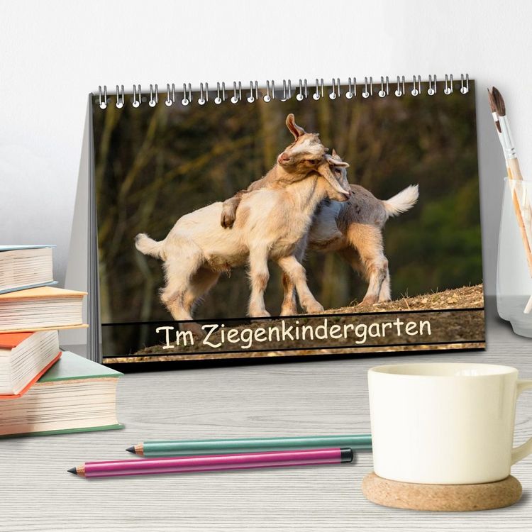 Produktbild: Im Ziegenkindergarten (Tischkalender 2027 DIN A5 quer), CALVENDO Monatskalender
