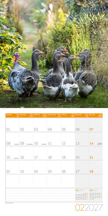 Produktbild: Landleben Kalender 2027 - 30x30 - Art12