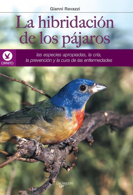 Produktbild: La hibridaci&oacute;n de los p&aacute;jaros