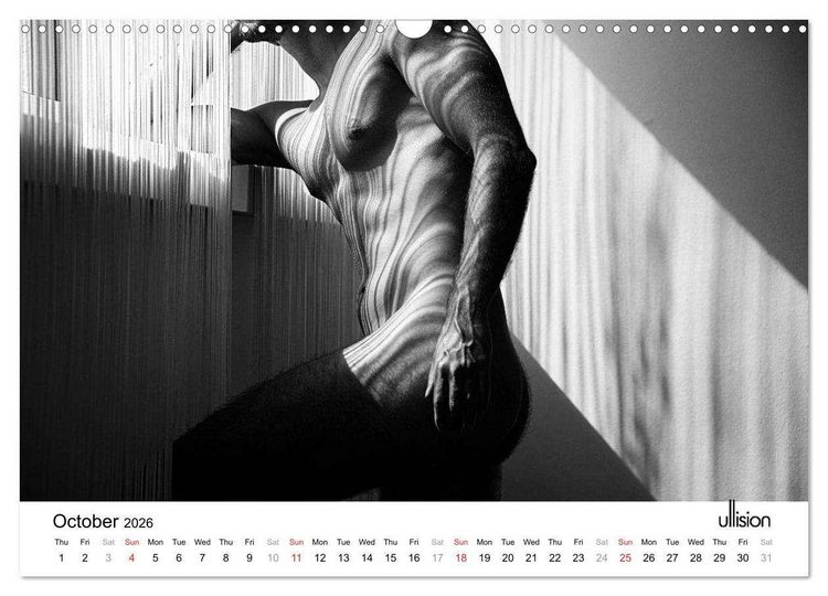 Produktbild: Male Nude Art (Wall Calendar 2026 DIN A3 landscape), CALVENDO 12 Month Wall Calendar