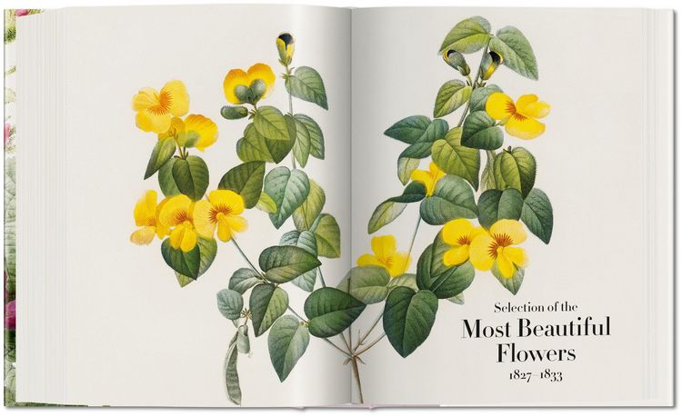 Produktbild: Redout&eacute;. The Book of Flowers