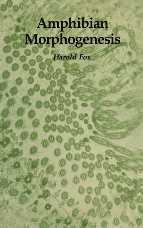 Produktbild: Amphibian Morphogenesis