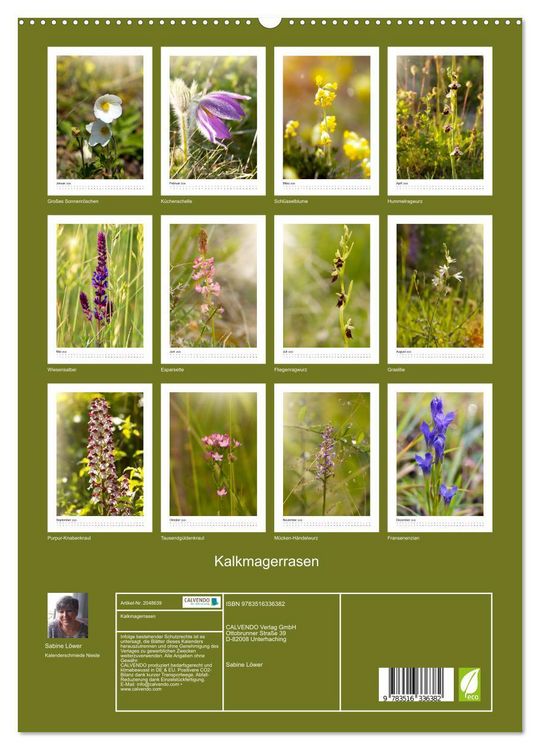 Produktbild: Kalkmagerrasen (hochwertiger Premium Wandkalender 2026 DIN A2 hoch), Kunstdruck in Hochglanz