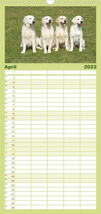 Produktbild: Familienplaner Golden Retriever (Wandkalender 2022 , 21 cm x 45 cm, hoch)