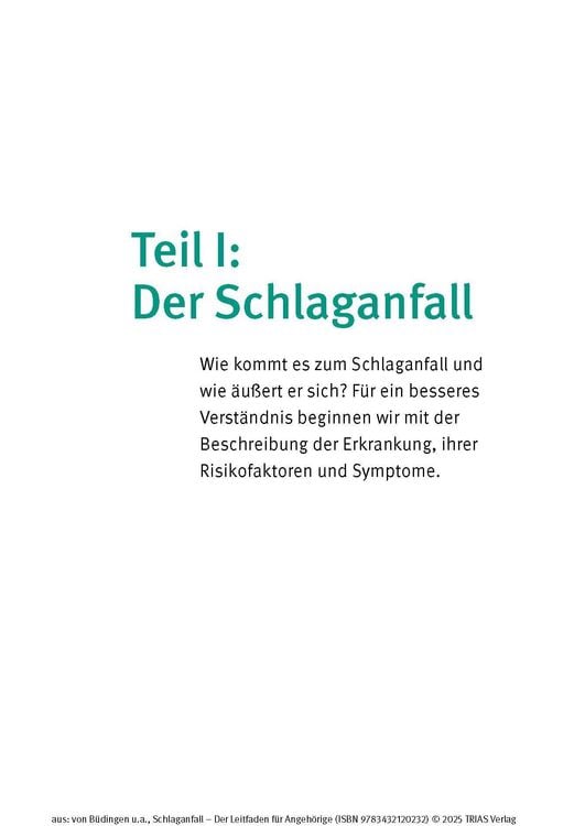 Produktbild: Schlaganfall - Der Leitfaden f&uuml;r Angeh&ouml;rige