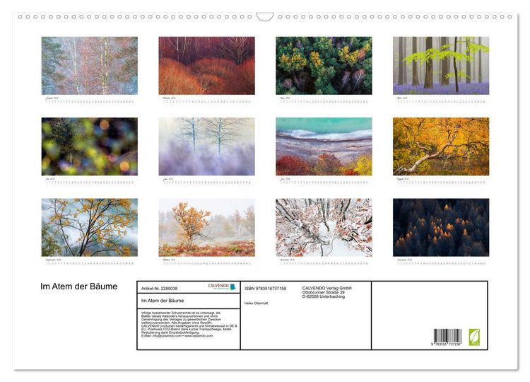 Produktbild: Im Atem der B&auml;ume (Wandkalender 2026 DIN A2 quer), CALVENDO Monatskalender