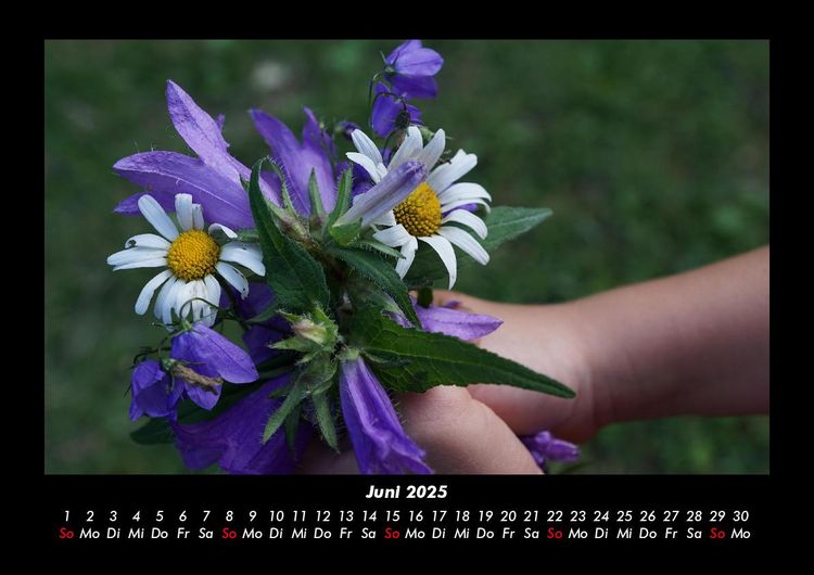 Produktbild: Blumentr&auml;ume 2025 Fotokalender DIN A3