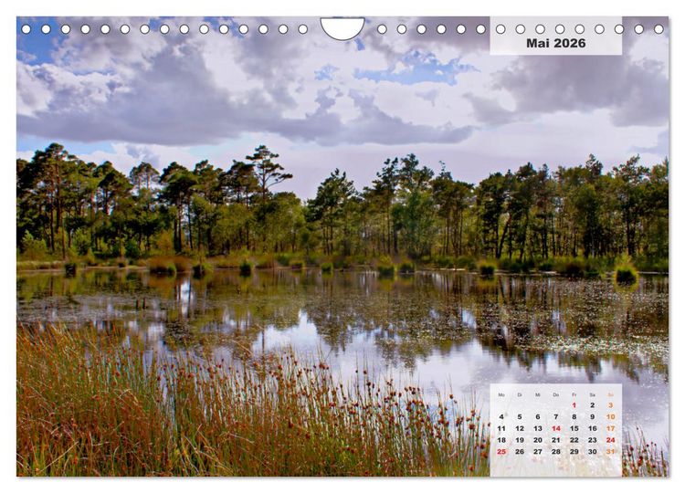 Produktbild: Niedersachsens Moorlandschaften - Das Pietzmoor, Schneverdingen (Wandkalender 2026 DIN A4 quer), CALVENDO Monatskalender