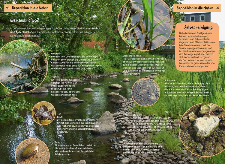 Produktbild: Was lebt an Bach und Teich? Kindernaturf&uuml;hrer
