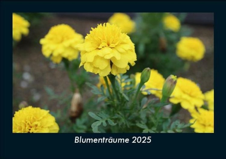 Produktbild: Blumentr&auml;ume 2025 Fotokalender DIN A5