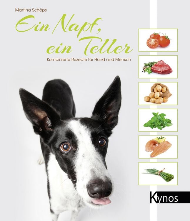Produktbild: Ein Napf, ein Teller