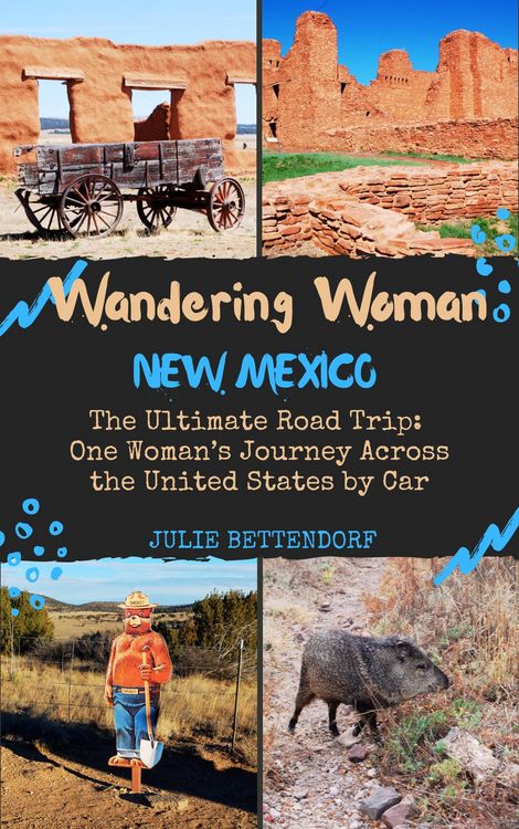 Produktbild: Wandering Woman: New Mexico